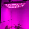 /product-detail/idea-bp900-dim-led-grow-light-with-programmable-timer-switch-sunset-sunrise-1200w-led-grow-light-60563582757.html