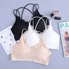 Seamless Sexy Ice Silk Cross Back Padded Yoga Fitness Wear Wholesale Sexy Black Seamless Sports Yoga Bra for Female