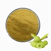 /product-detail/best-sale-antioxidant-organic-amla-indian-gooseberry-emblica-officinalis-extract-polyphenols-for-hair-oil-and-shampoo-62116649558.html