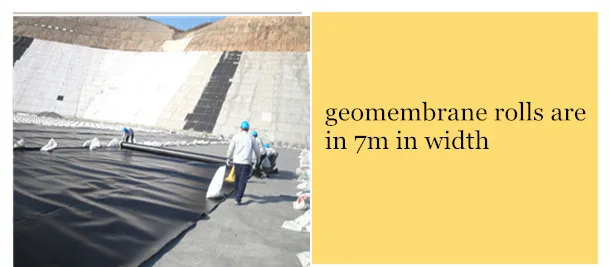 fish pond liners in kenya