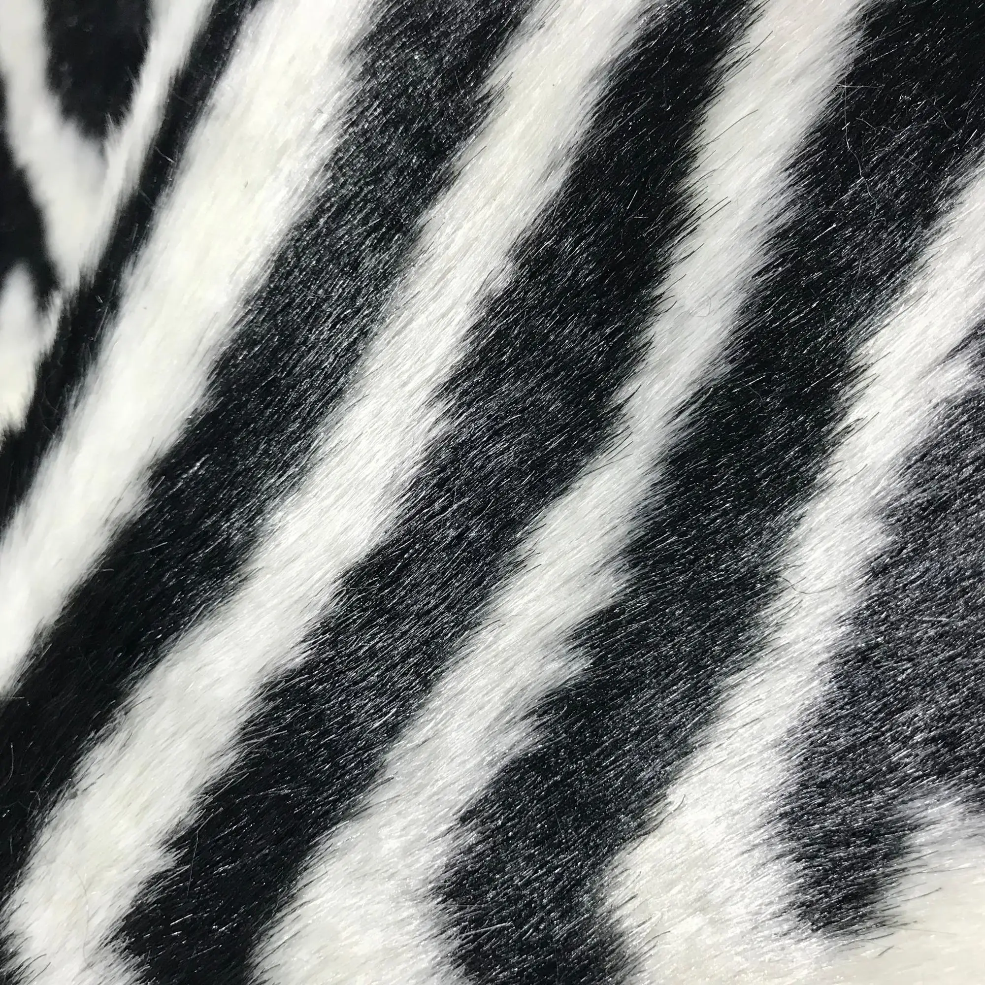 furry zebra rug