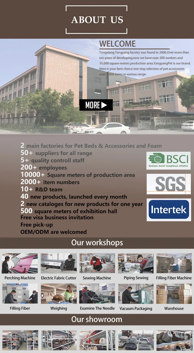 HTB1XAm N3HqK1RjSZFPq6AwapXac