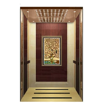 Cheap Small Home Elevator Kit Low Cost Small Home Elevators - Buy Home