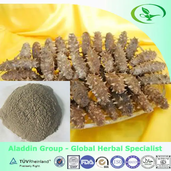 Dried Sea Cucumber Powder For Wholesale Buy Dried Sea Cucumber