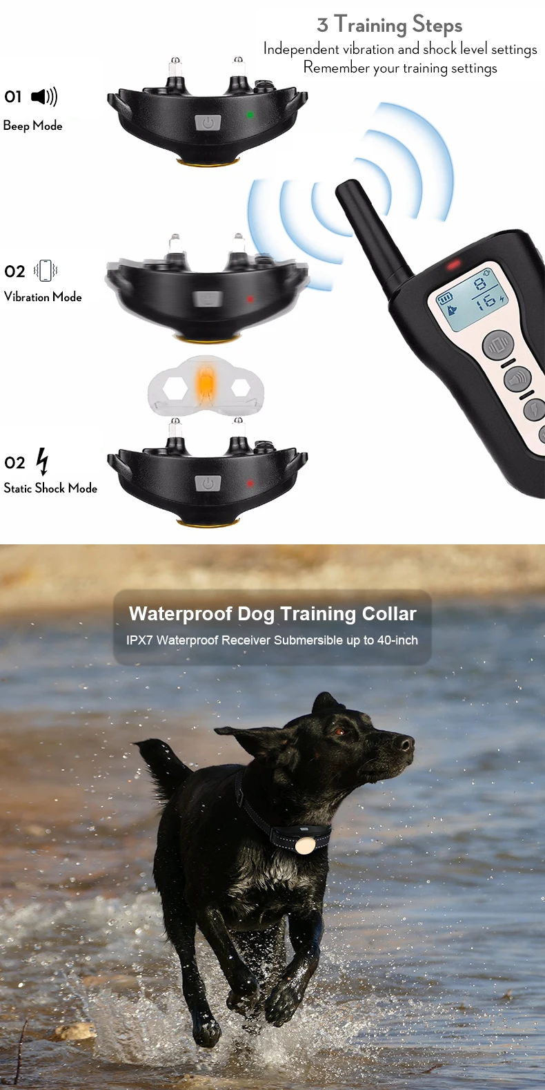 Electronic Dog Training Collar