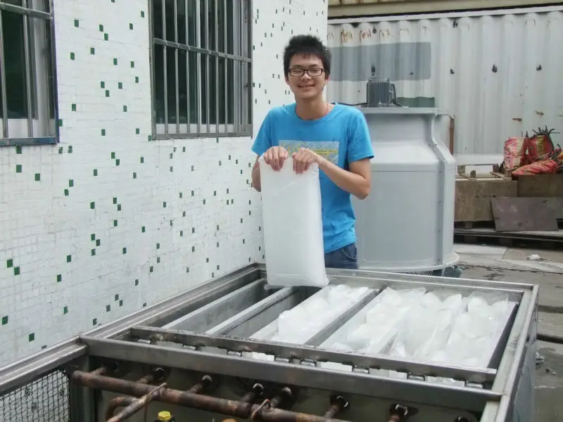 1 Tons Edible Ice Block Machine with Plastic Bag