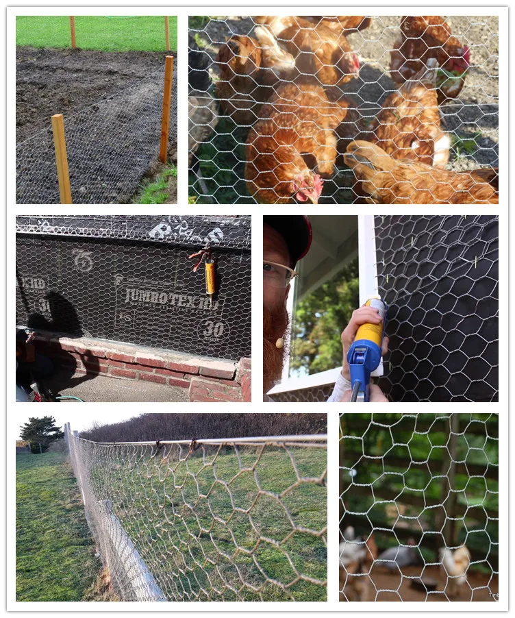 type o negative chicken type o negative chicken