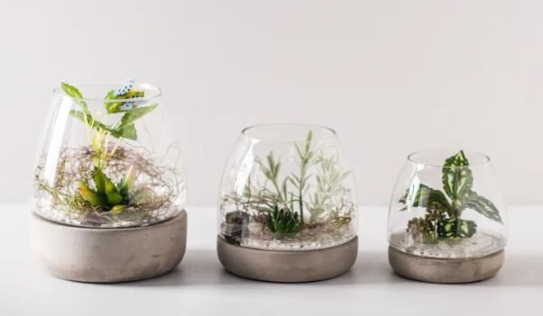 decorative glass pots decorative plant pots indoor diy table decoration clear decorative glass pots decorative plant pots indoor diy table decoration clear