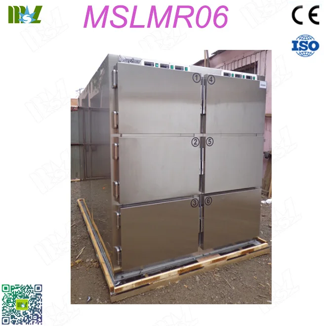MSLMR06-1