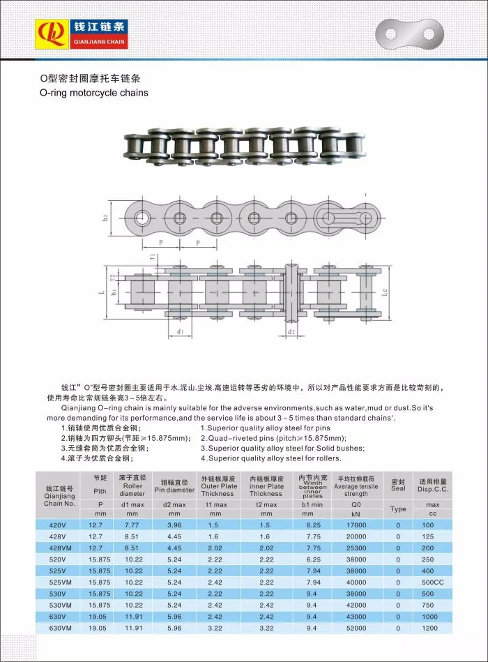 O-O-ring motorcycle chains.jpg