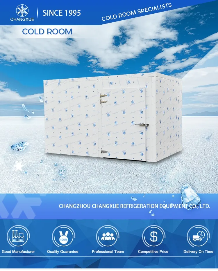 Meat Freezer/ Pork Freezer/ Blast Freezer/ Chiller - China Huge Cold Room,  Cold Storage