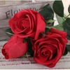 Latest modern Wholesale Evergreen single stem peony