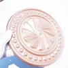 WA5270925 Purple pearl decorative coating metallic powder paint