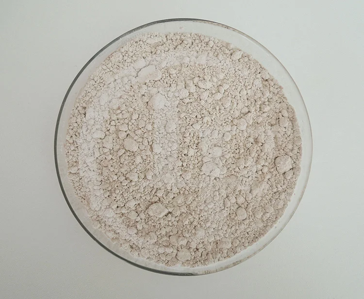 Enhance Immune Pure Sea Cucumber Extract Powder Buy Sea Cucumber