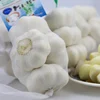 /product-detail/china-hot-sale-garlic-export-factory-60601510477.html