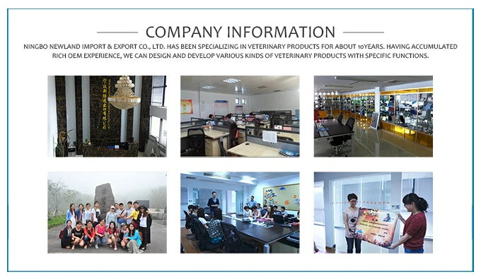 company information