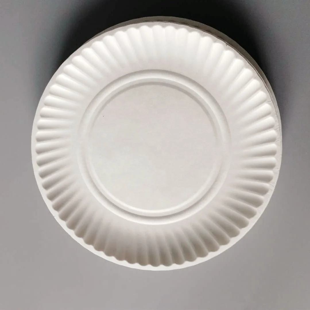 cheap disposable plates