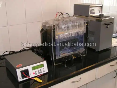 Dna Or Pcr Hemoglobin Electrophoresis Vertical Gel Electrophresis For Western Blotting