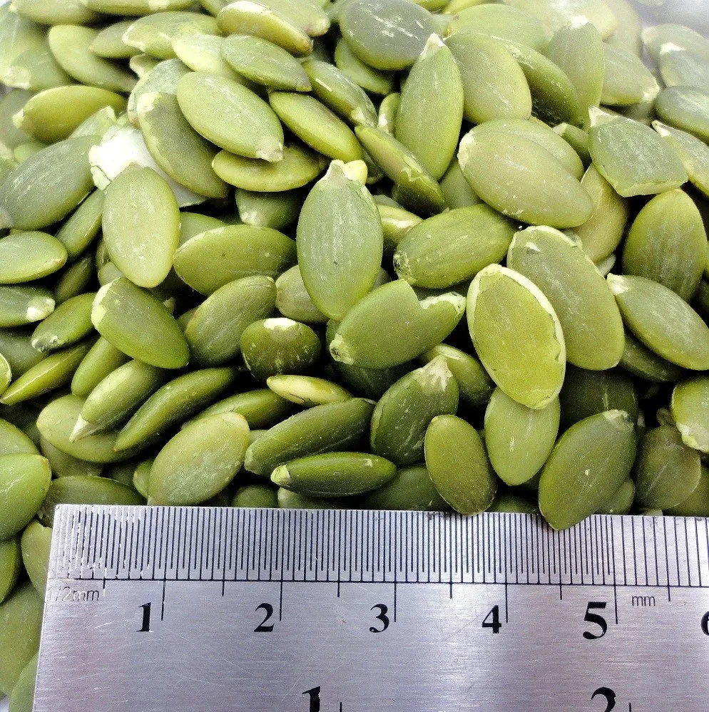 大尺寸西北内蒙古光泽南瓜籽仁
