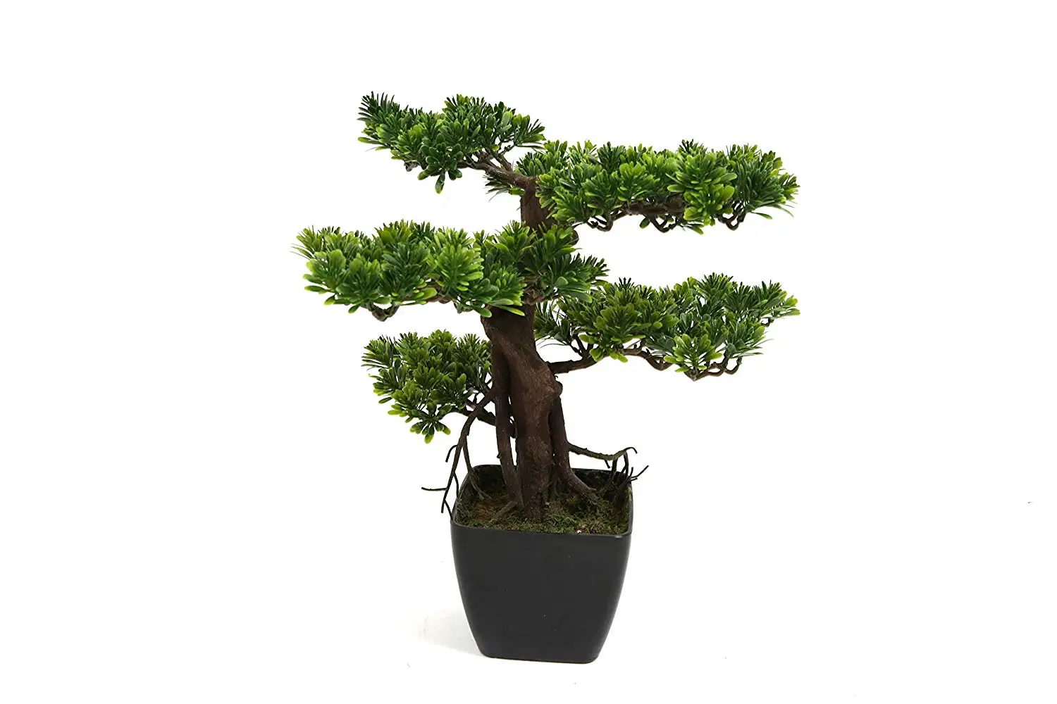 Buy Bonsai Boys Artificial Japanese Cedar Bonsai Tree in Cheap Price on