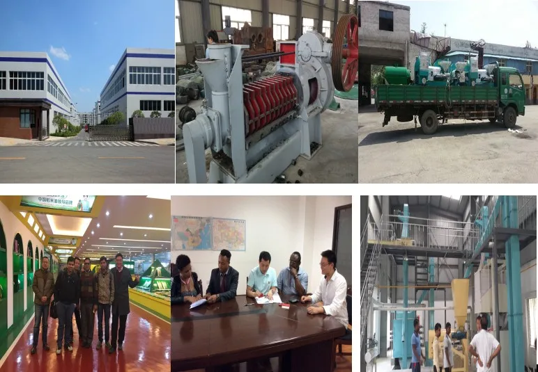 Avocado Oil Extraction Machine And Mustard Oil Machine Price India