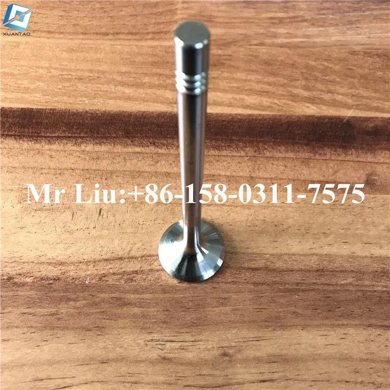 Stock Engine Valve Man Tga Eng D2066 D2676 Intake Valve And Exhaust