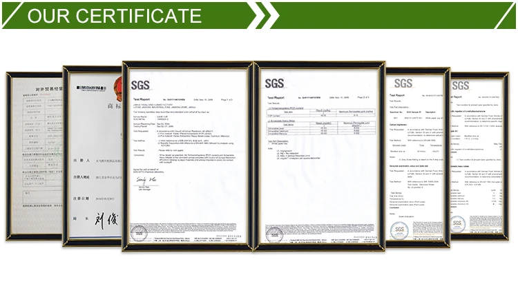 Our certificate.jpg