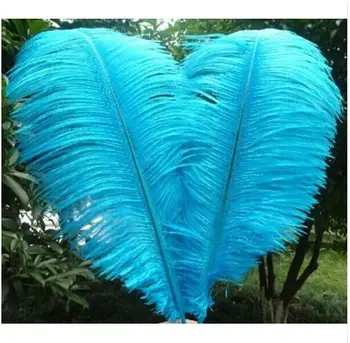 large decorative feathers