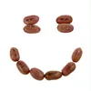romantic Kids Magic Bean Garden, Reveal & Grow Magic Messages - Nature & Garden Kit For Kids ,Talking Bean I love You