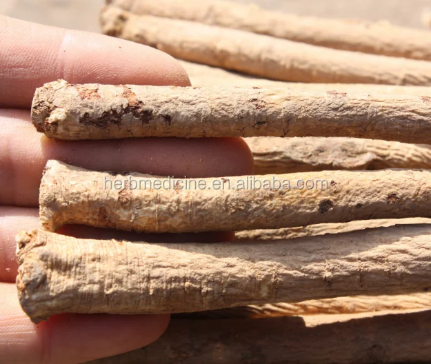 Natural Astragalus Root Sliced For Sale Herbs Buy Radix Astragali,Membranous Milkvetch Root