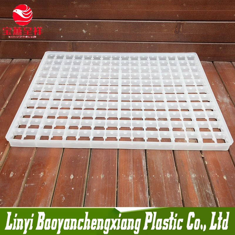 221cells plastic HDPE quail egg tray for wholesale .jpg