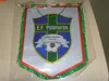 high quality single side sublimation printed satin pennant for football club from wenzhou Fly