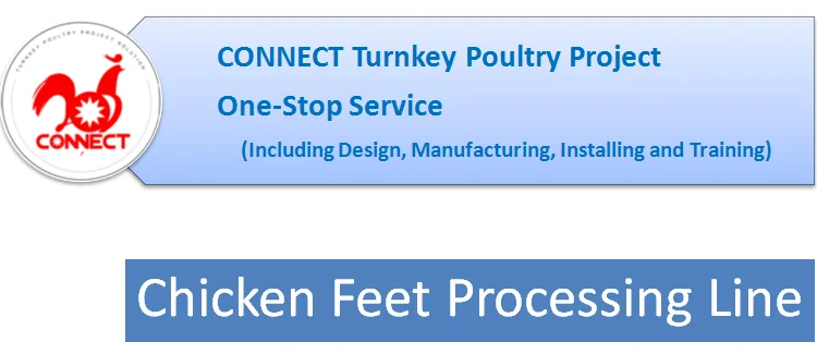 feet processing.png