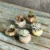 Wholesale Small Succulent Ceramic Plants Flower Dull Polish Pots For ...