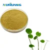 /product-detail/natural-whitening-ingredients-centella-asiatica-extract-powder-10-80-triterpenes-60192579508.html