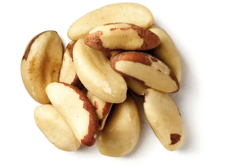 brazil nut suppliers