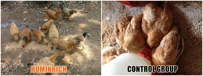 Fish Manure Fertilizer.jpg