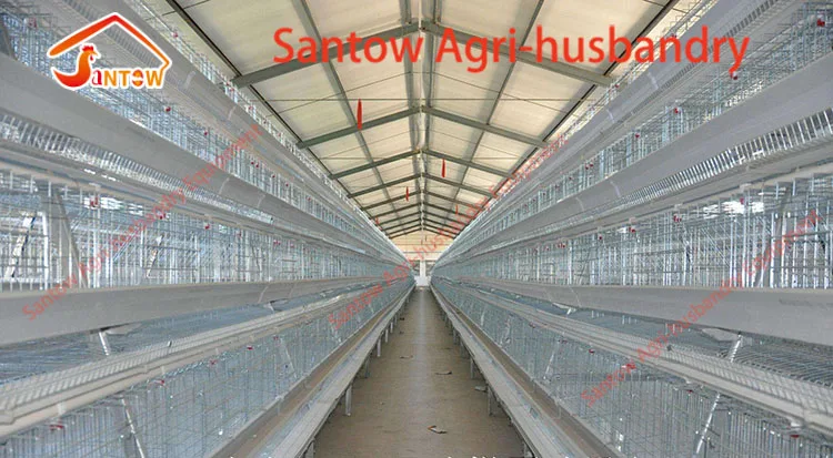 Automatic chicken cages hot galvanized poultry cage cheap price egg layers cage design for farm design