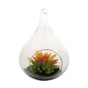 /product-detail/artificial-succulent-plants-arranged-in-glass-jar-arrangement-60834649085.html