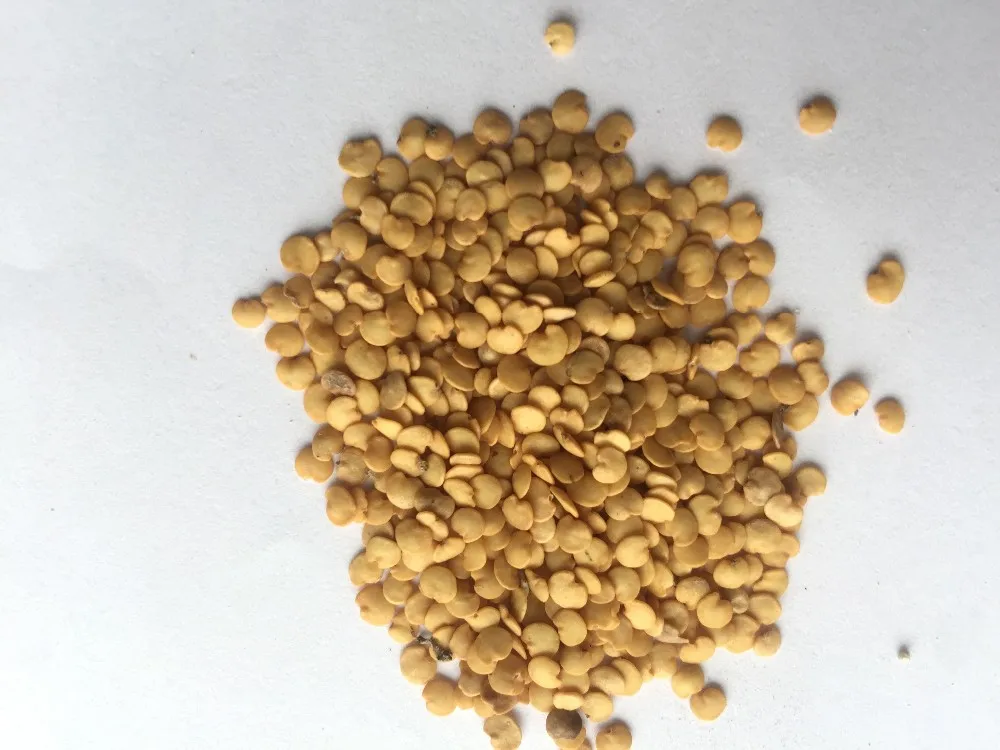 Good Quality Purple Eggplant Seeds Vegetable Seeds Buy Vegetable