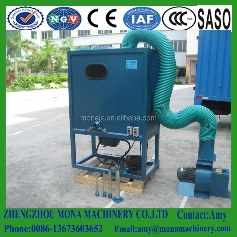 800 800 Amy l from vivi.jpg