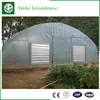 Clear agricultural uv protection plastic polyethylene film greenhouse,used horticultural greenhouse,used commercial
