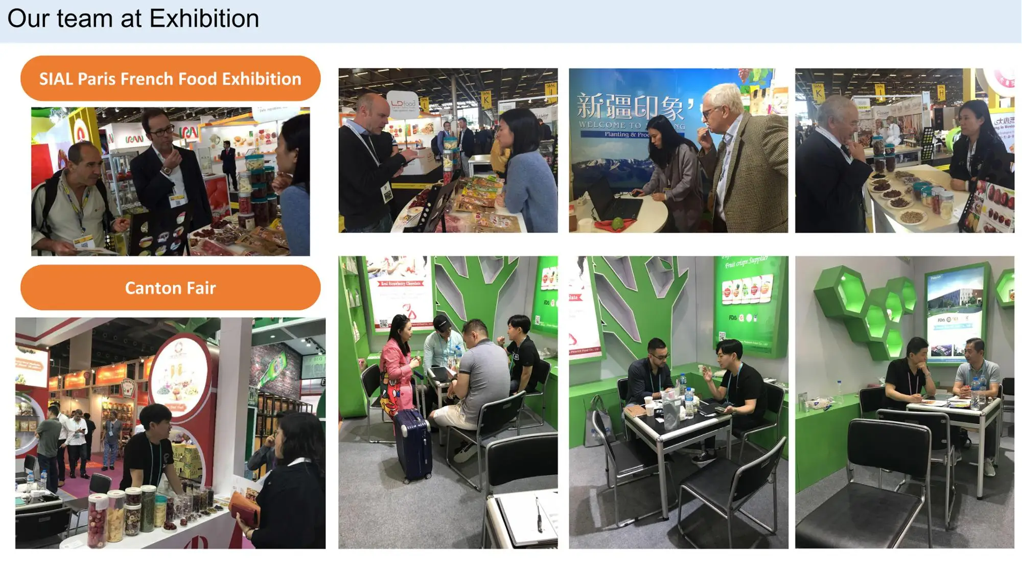 so natural freeze dried melon cantaloupe freeze-dried crispy fruit slices