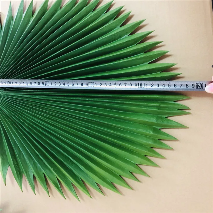 palm tree leaves (3).jpg