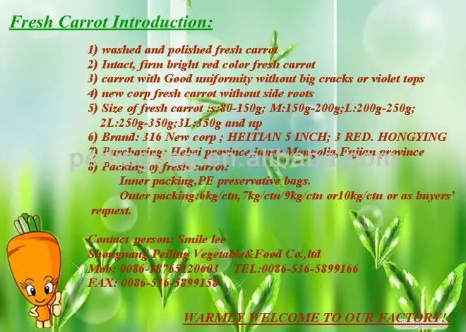 carrot introduction