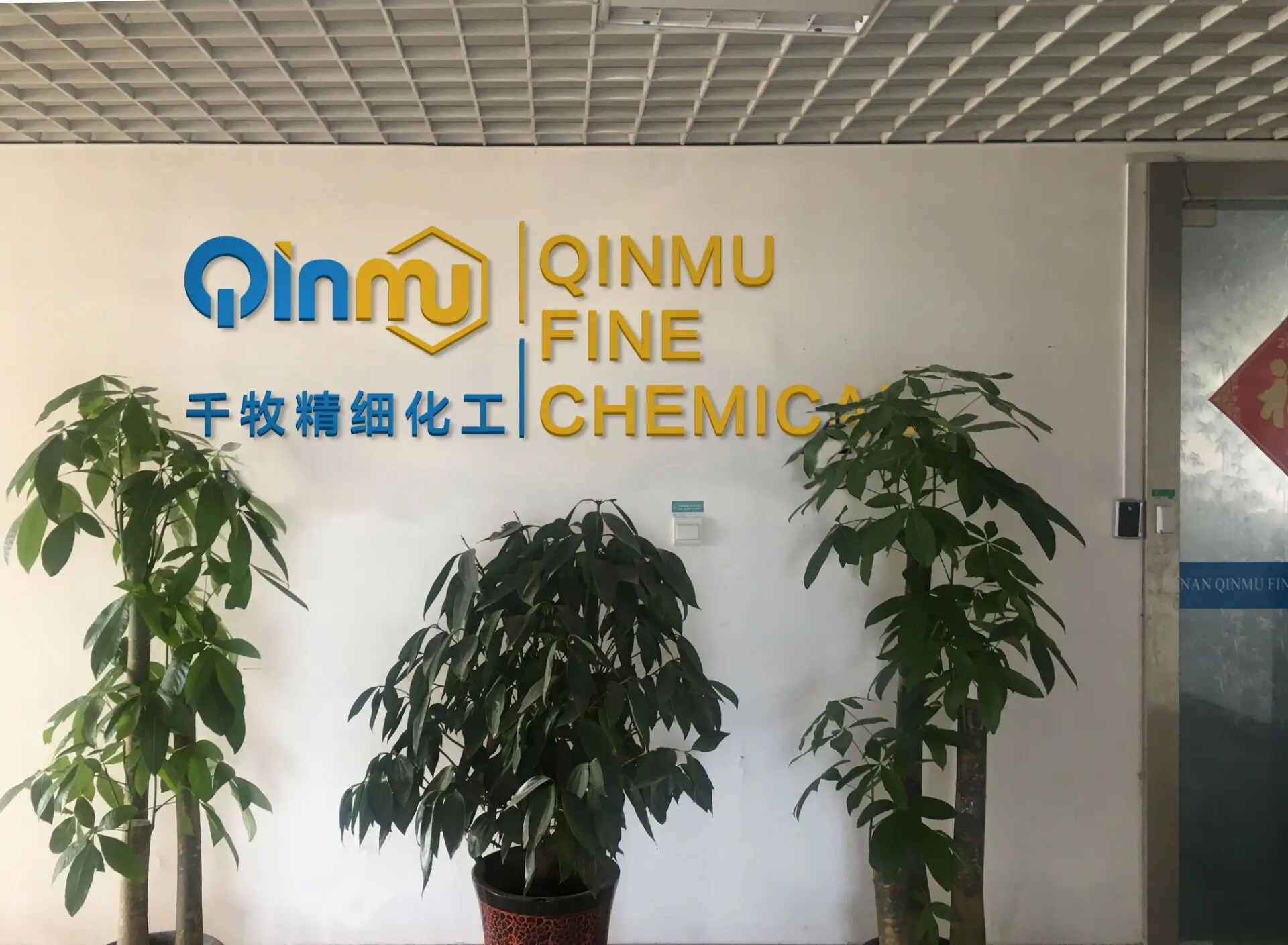 Qinmu office 6