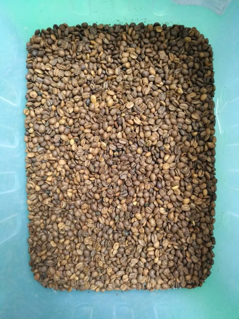 wenyao 5 chutes coffee bean color sorter separator sorting