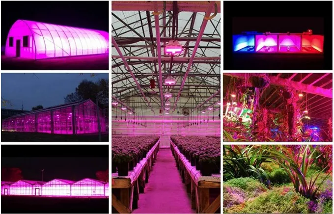 Hot selling 2019 cxb3590 480w 640W led grow light cob grow led full spectrum,  best cooling system indoor 3000k 3500k 4000k