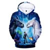2019 Hot sale hoodie in printed how to train your dargon 3 wholesale stock no moq 3d printed hoodie supplier