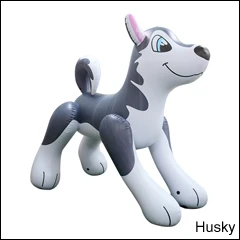 husky.jpg